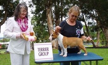 Best Puppy in All Breed Match First time out at an All Breed Point show Jack gets a group placement! Dier's You Don't Know Jack owned by Debbie Takayama

