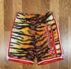 Dribble Gawd Varsity Shorts Tiger