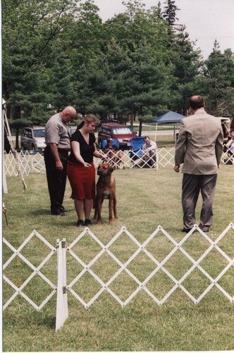 Anjaris Ridgebacks CIRO