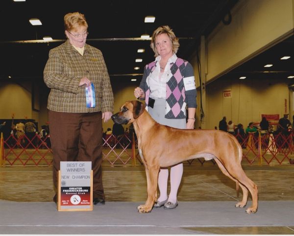 Anjaris Ridgebacks Ciro s Up Coming Champs