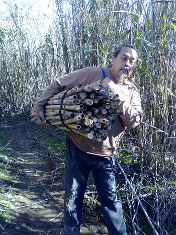 2013 Harvesting more Bamboo real fast because nesting season is coming and I can't back in until next September!!!
