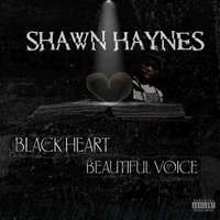 Black heart, Beautiful Voice by Shawn Haynes