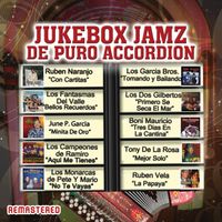 Jukebox Jamz De Puro Accordion by Various Artists