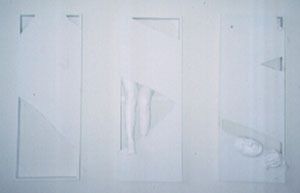 White on White Triptik 3 panels with sculpture pieces $3600

