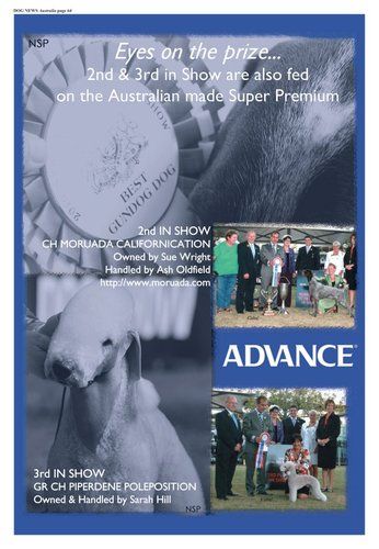 Advance Royal Add May 2010
