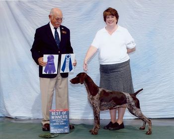 Snowcreeks Wings Of A Dove ( Imp USA) Our new 2008 import - 7 BOB wins & 64 pts from very limited shows in Australia. Sky was only 1 Major short of her AKC Ch title.
