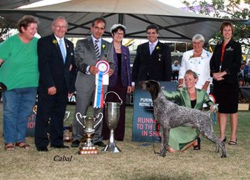 Jake winning RUBIS at Sydney Royal 2010
