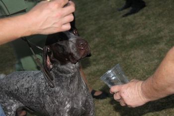 Jake drinking bubbles after BIS
