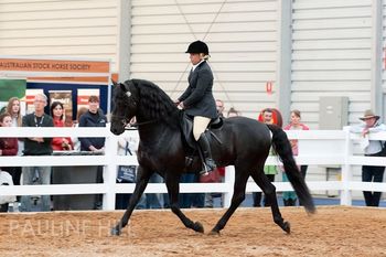 Watching Royalty & Beccara Equitana 2012
