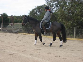 Pedro Clinic
