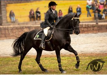 Watching Royalty Kryal Castle working equitation
