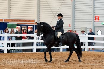Watching Royalty & Beccara Equitana 2012
