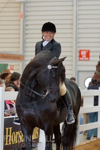 Watching Royalty & Beccara Equitana 2012
