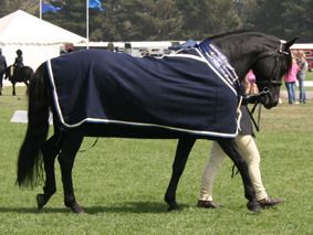 Kareena & I Supreme Led Melb Royal
