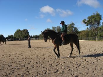 Pedro Clinic
