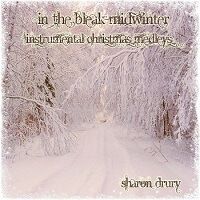In the Bleak Midwinter by Sharon Drury