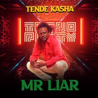 Mr Liar by Tende Kasha