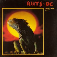 Animal Now by Ruts DC