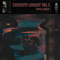 Exquisite Library Vol 3 by Exquisite Beats