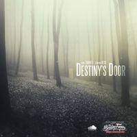 Destiny's Door by edmond redd