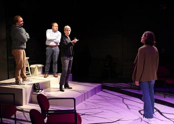 Tiny Beautiful Things with Sara Fitzpatrick, William Mullen and Tom Sharp, photo by Bob Tucker
