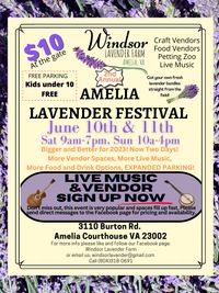 Amelia Lavender Bluegrass Festival