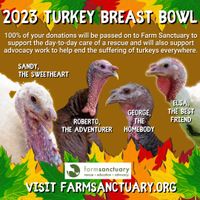 OPTIONAL: Donate Any Amount To A Turkey