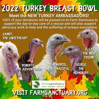 Donate Any Amount To A Turkey