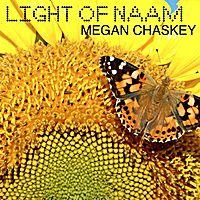 Light of Naam by Megan Chaskey