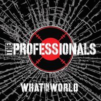 What In The World by The Professionals Band