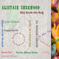 Boy from the Bog by Alistair Sherwood