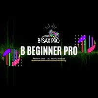 B BEGINNER PRO