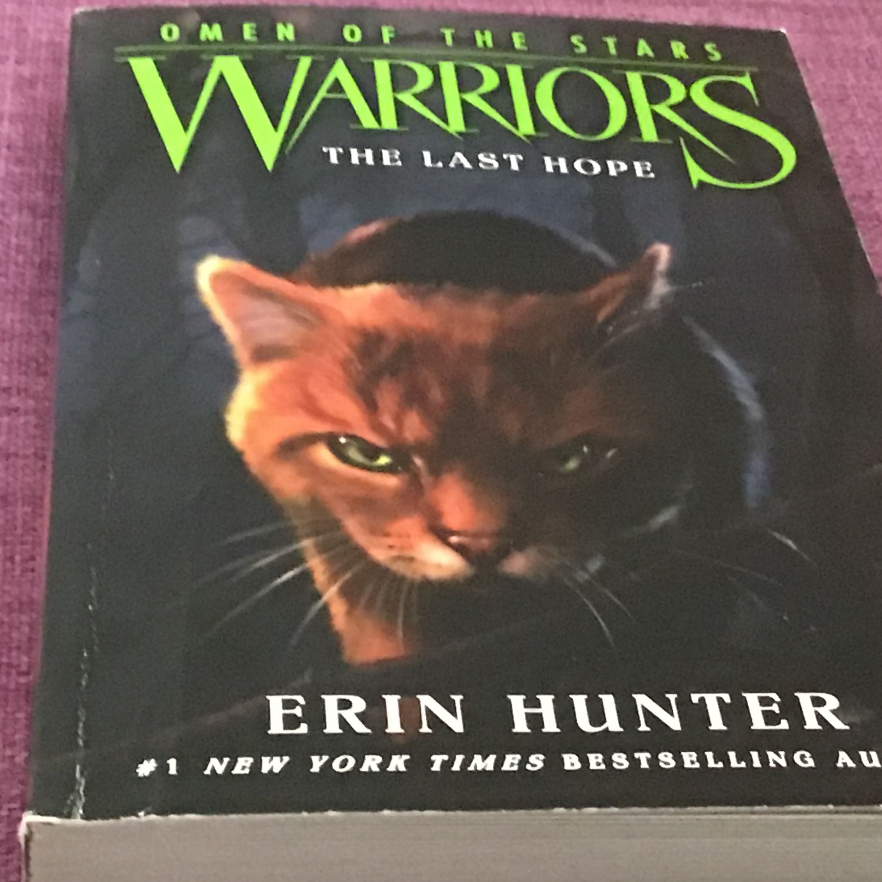 WarriorCatsFanBlog – This site is a blog about Warrior cats, a