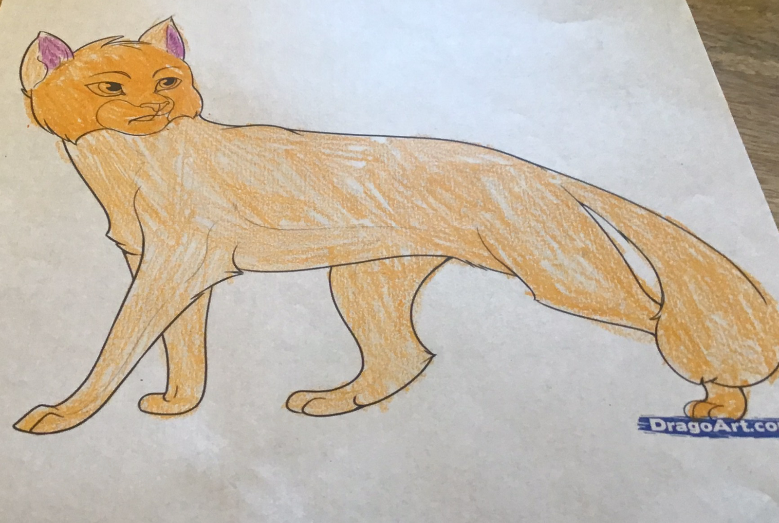 WarriorCatsFanBlog – This site is a blog about Warrior cats, a