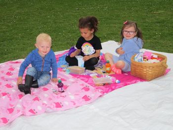 Teddy Bears Picnic
