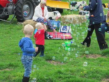 Teddy Bears Picnic
