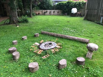 The Fire Pit
