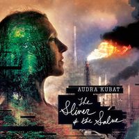 The Sliver & the Salve by Audra Kubat