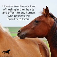Healing Horses, Healing Sound, Breath & Energy 