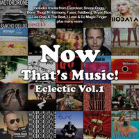 Now That's Music! Eclectic Vol.1  by Various