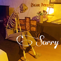 Sorry by Brian Perrone