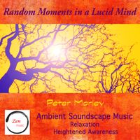 Random Moments in a Lucid Mind by Peter Morley