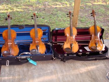 Four F. O. Stanley Fiddles at the Stanley Convention Maine 2008
