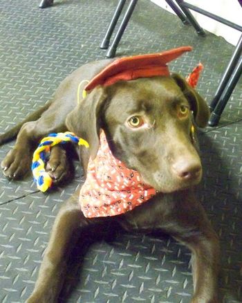 Choc Lab
