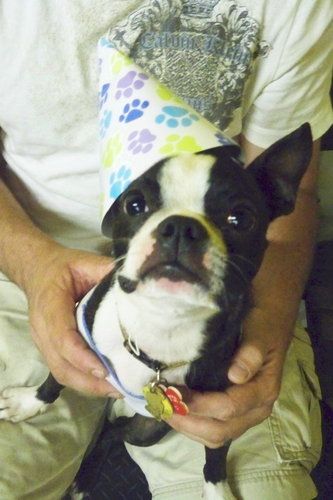 Copley turns 2!
