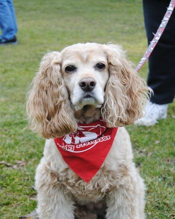 Bandana Day @ Verona Park, a huge crowd!!
