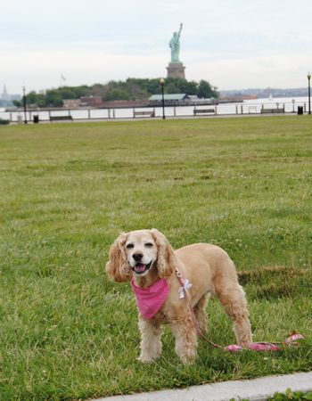 Liberty State Park
