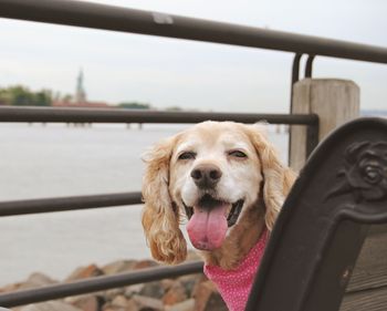 Liberty State Park
