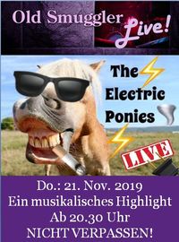 The Electric Ponies