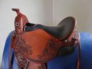 DP Saddlery Quantum WD S & L S2
